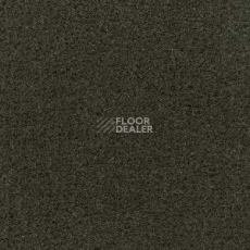 Ковролин Radici Admiral Fango 1302 фото 1 | FLOORDEALER